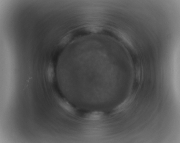X0000113950128200910021513