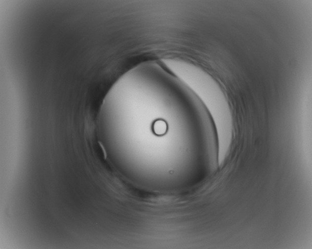 X0000113950129200910021513