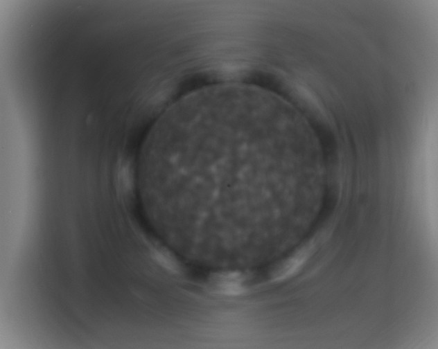 X0000113950131200910021513
