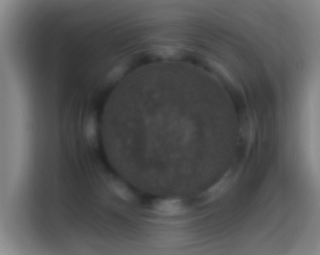X0000113950132200910021513