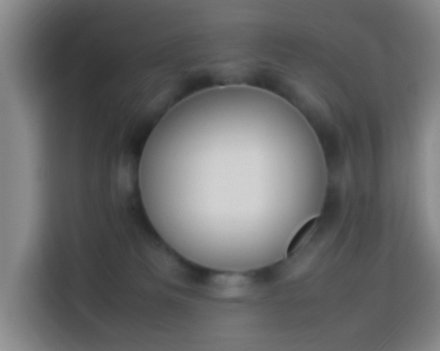 X0000113950133200910021513