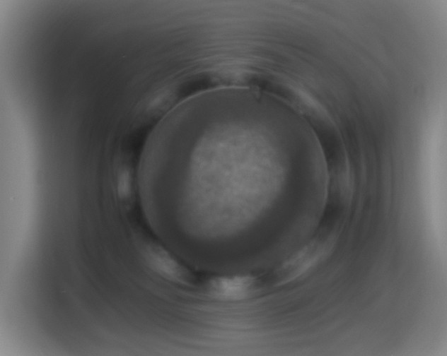 X0000113950134200910021513