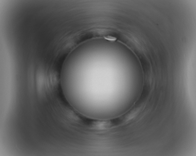 X0000113950135200910021513