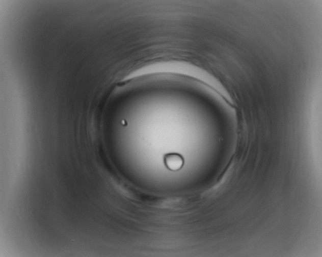 X0000113950136200910021513