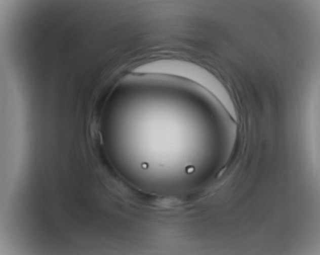 X0000113950137200910021513
