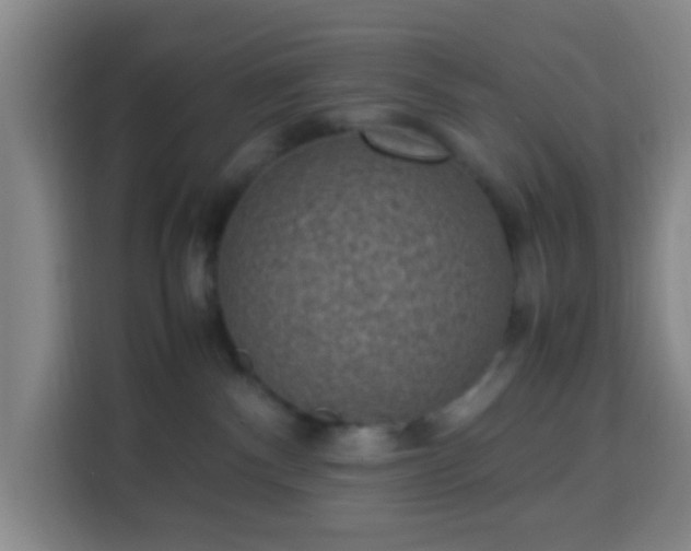 X0000113950140200910021513