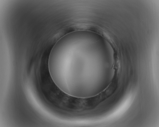 X0000113950143200910021513