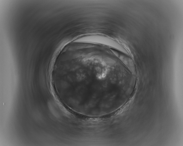 X0000113950145200910021512