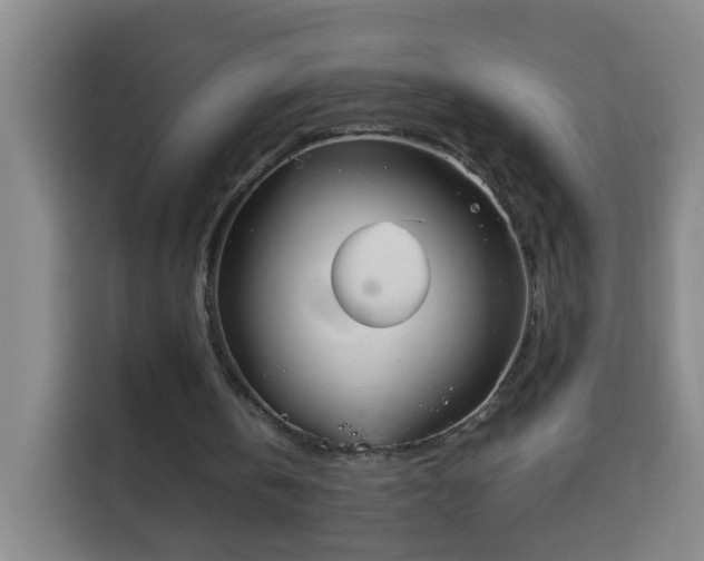 X0000113950146200910021512