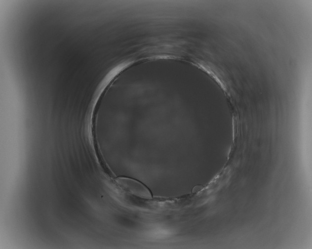 X0000113950147200910021512