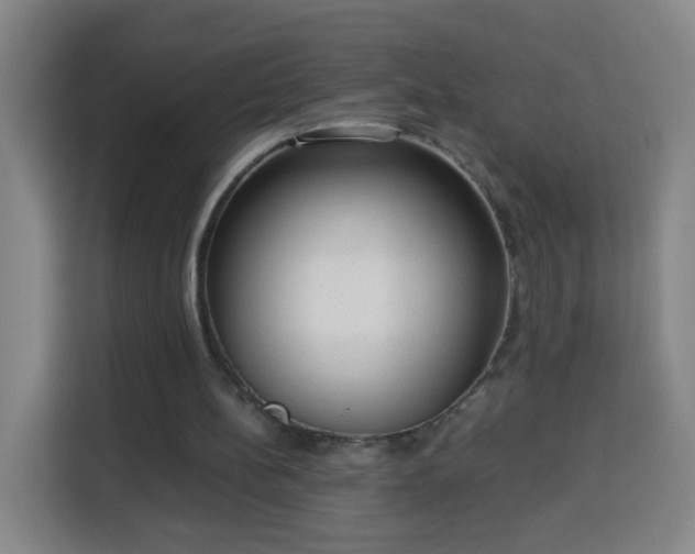 X0000113950148200910021512