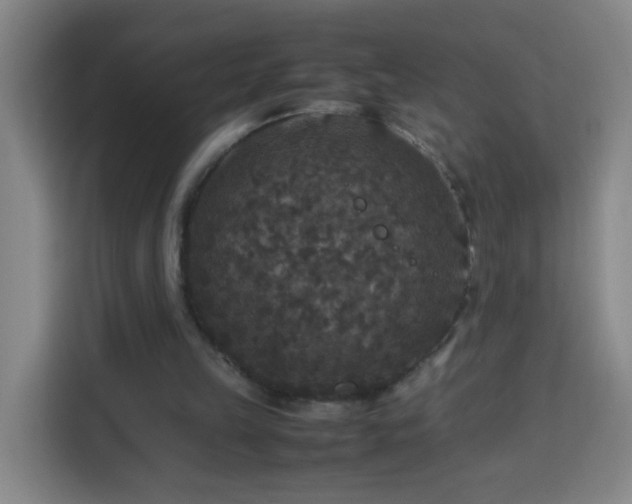 X0000113950149200910021512
