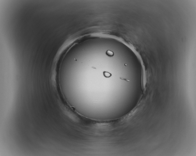 X0000113950150200910021512