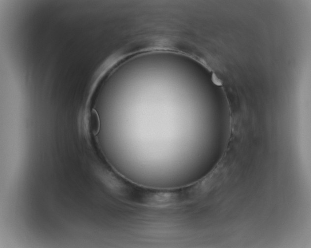 X0000113950152200910021512