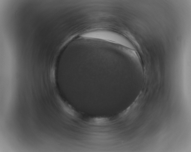 X0000113950154200910021512