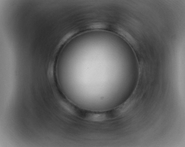 X0000113950155200910021513
