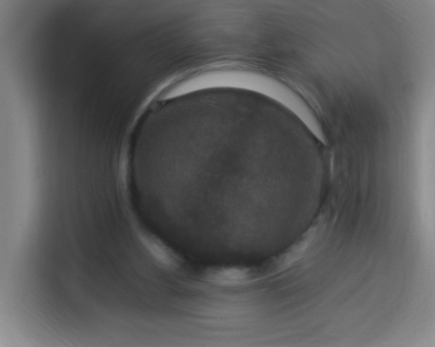 X0000113950156200910021513