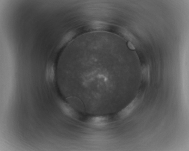 X0000113950158200910021513