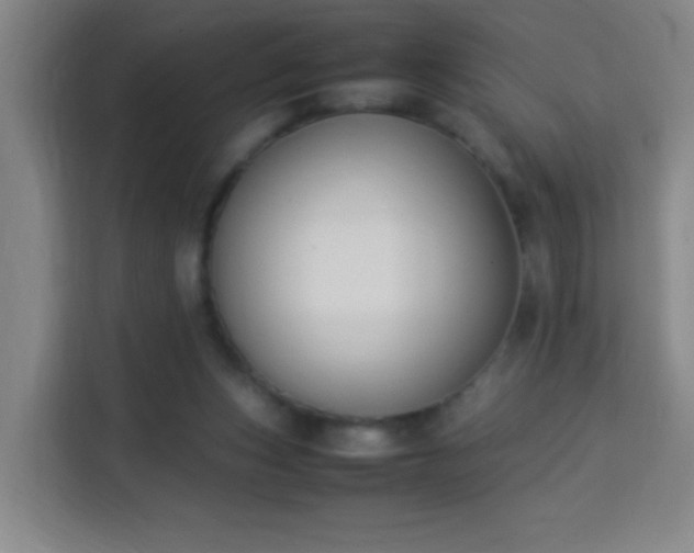 X0000113950159200910021513