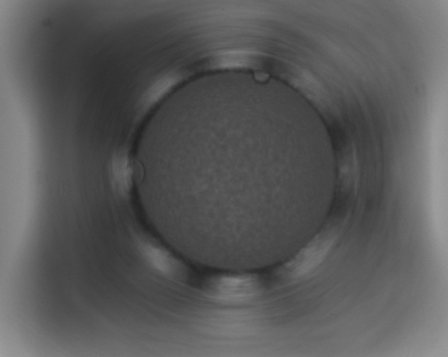 X0000113950160200910021513