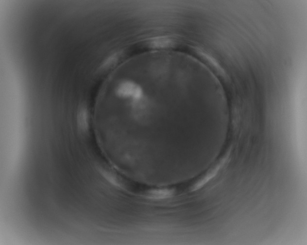 X0000113950161200910021513