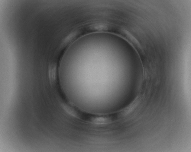 X0000113950163200910021513