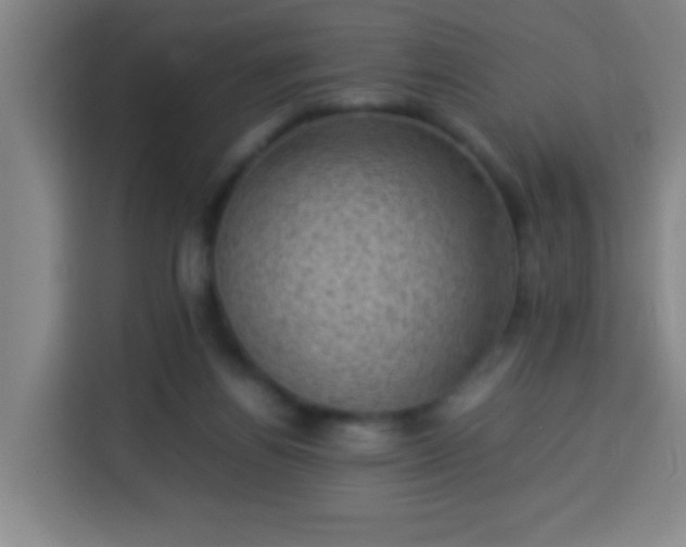 X0000113950164200910021513