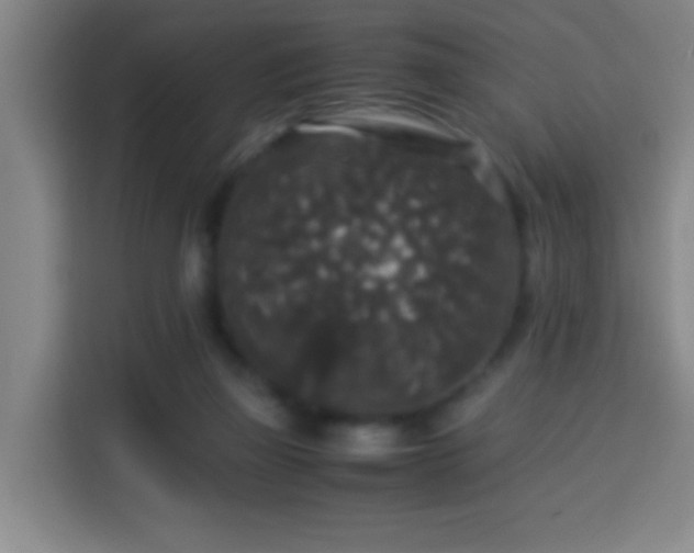 X0000113950165200910021513