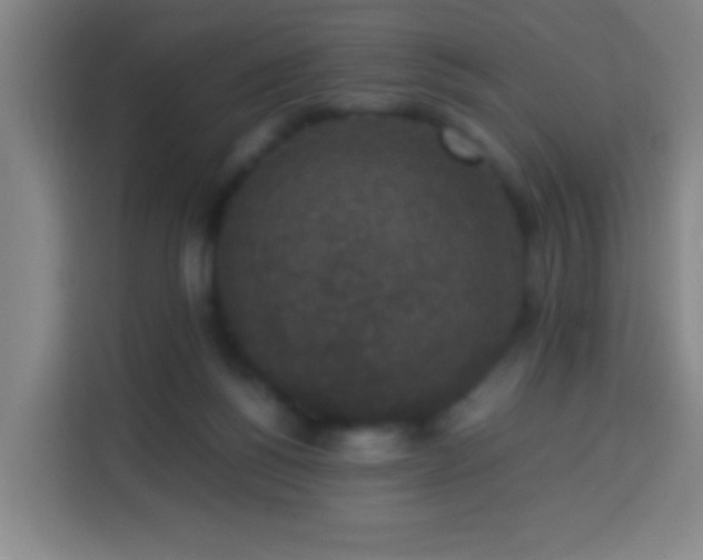 X0000113950168200910021513