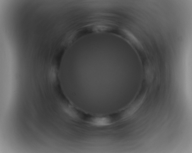 X0000113950169200910021513