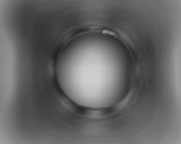 X0000113950170200910021513