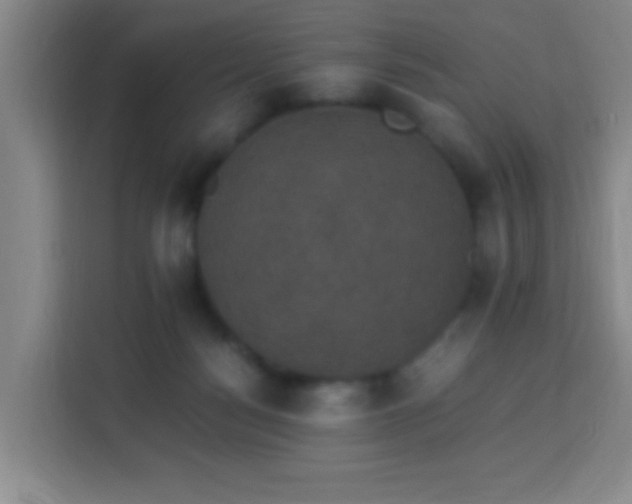 X0000113950172200910021513