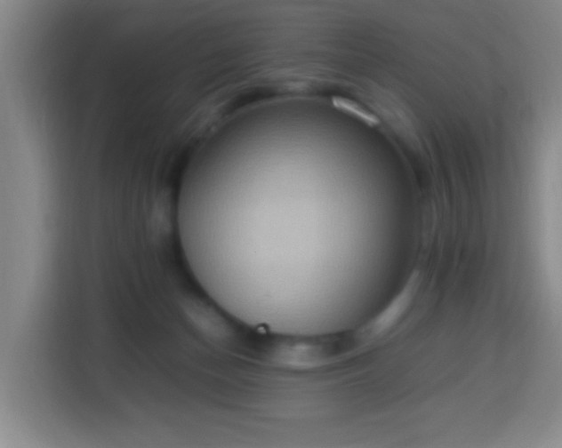 X0000113950174200910021513