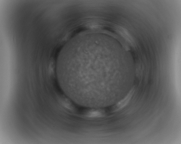 X0000113950175200910021513