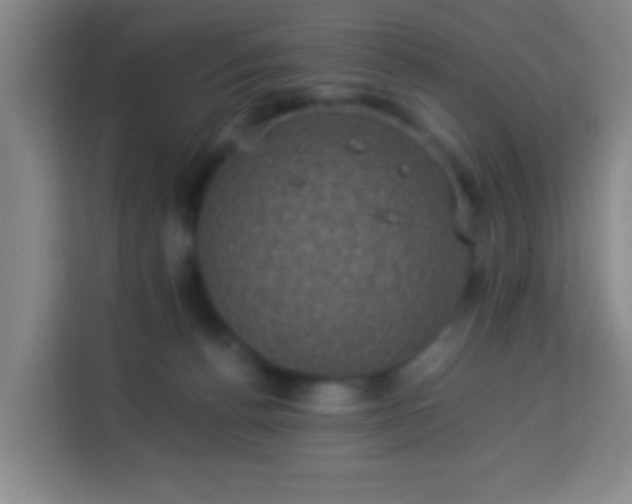 X0000113950176200910021513