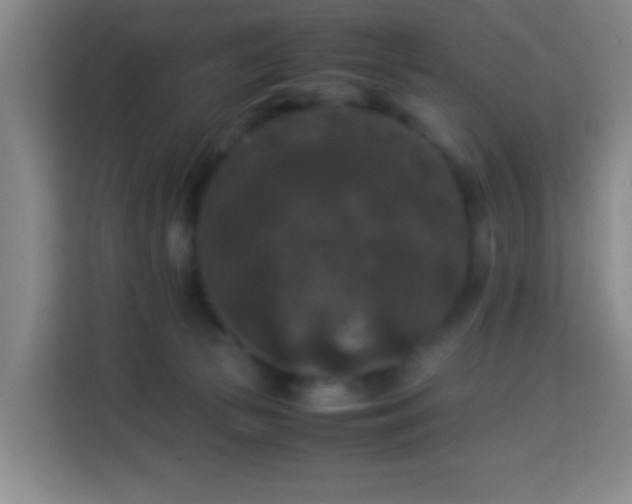 X0000113950177200910021513