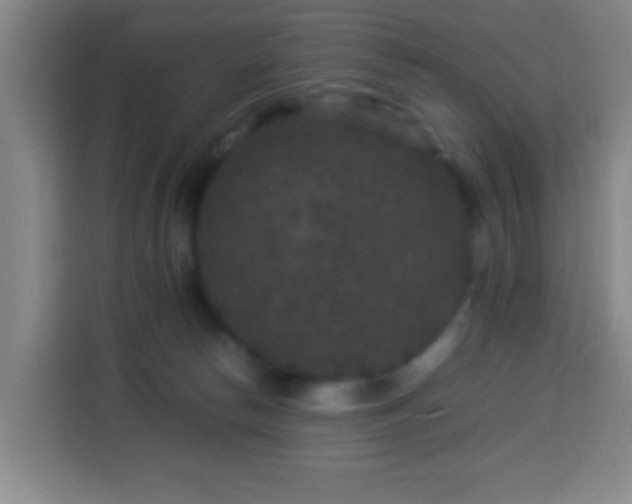 X0000113950178200910021513