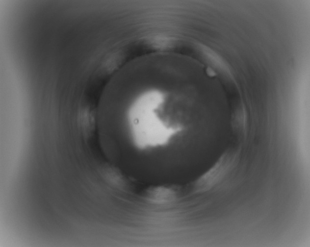 X0000113950180200910021513