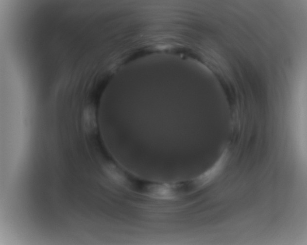 X0000113950182200910021513