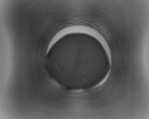 X0000113950186200910021513