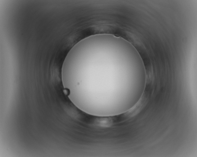 X0000113950187200910021513