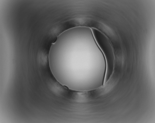 X0000113950188200910021513