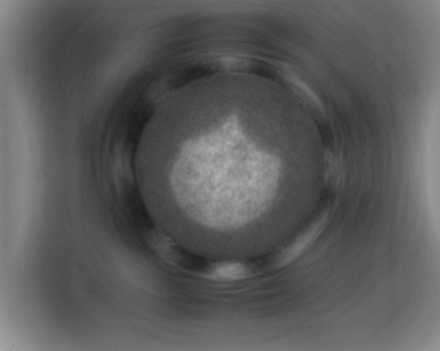 X0000113950189200910021513