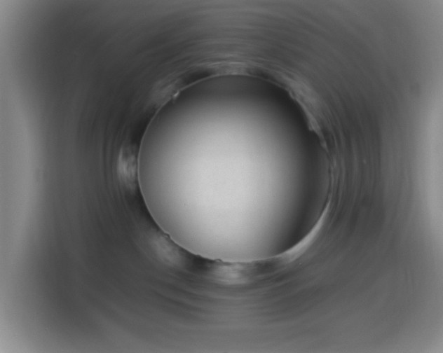 X0000113950190200910021513