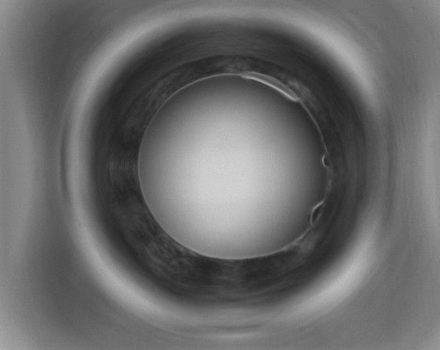 X0000113950191200910021513