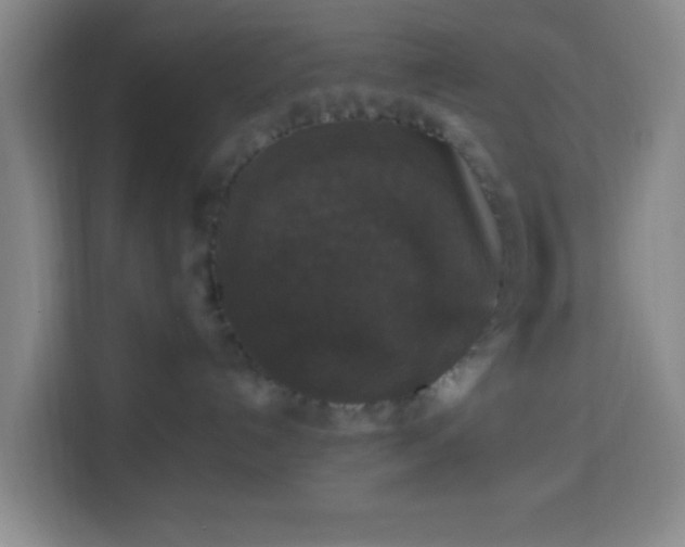 X0000113950192200910021513