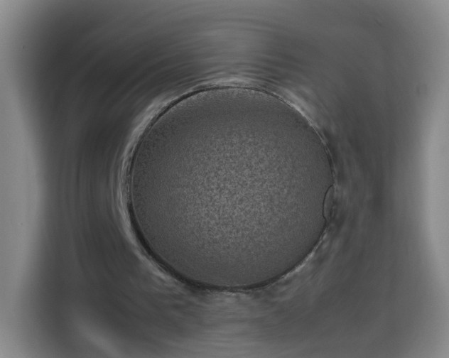 X0000113950193200910021512