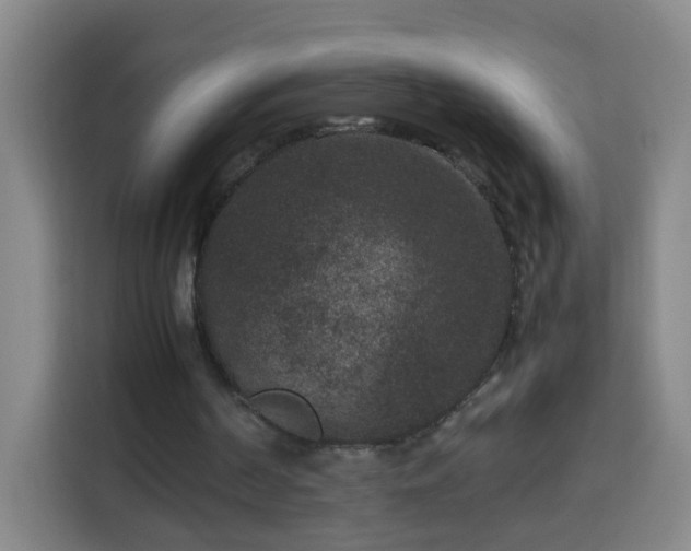 X0000113950194200910021512
