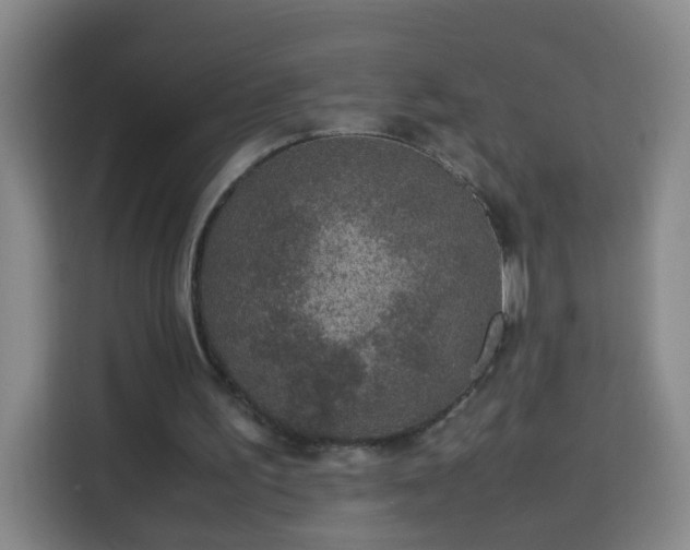 X0000113950195200910021512