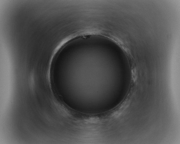 X0000113950196200910021512